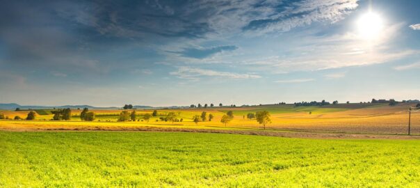 Coaching in Bremen – persönliche Entwicklung, Klarheit und neue Entscheidungen