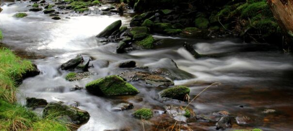 Paartherapie in Bremen – achtsame Begleitung für Paare in Beziehungskrisen und Entwicklungsphasen