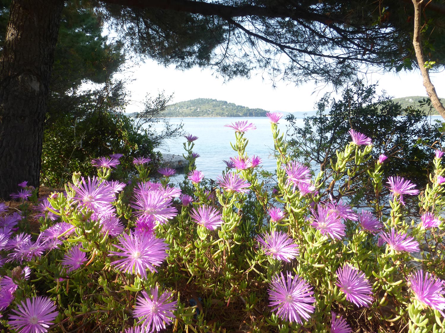 Sexualtherapie in Bremen – achtsame Begleitung bei sexuellen Fragen, Lust und Intimität