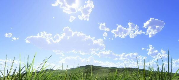 Supervision in Bremen – Chris Reinking, systemische Supervision für Fachkräfte und Teams